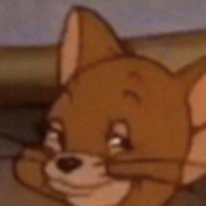 Meet your Posher, Bug